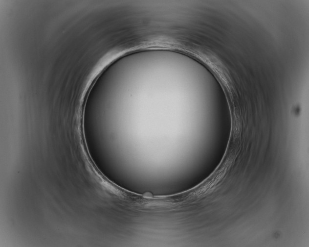 X0000098071486200804041114