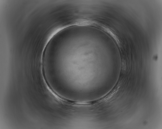 X0000098071487200804041114