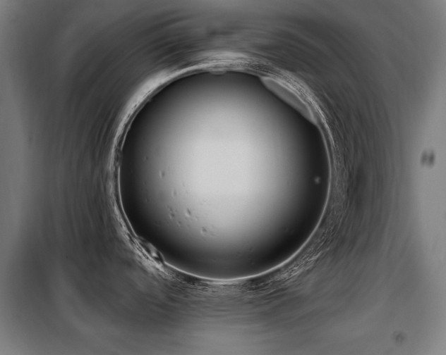 X0000098071488200804041114