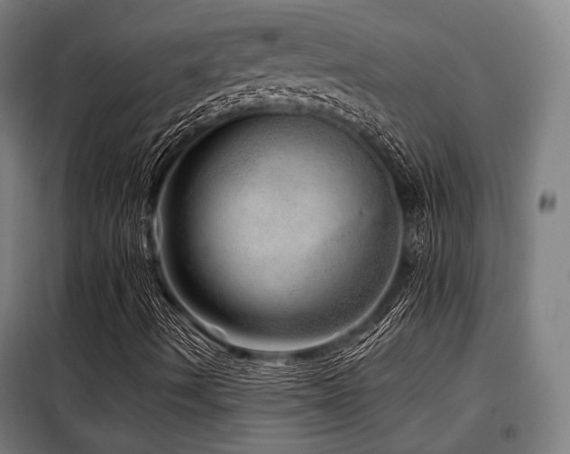 X0000098071490200804041113