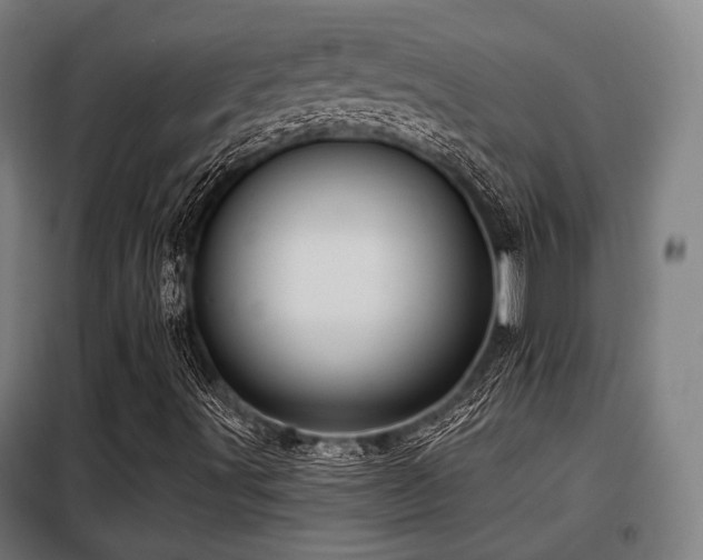 X0000098071491200804041113