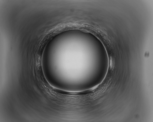 X0000098071492200804041113