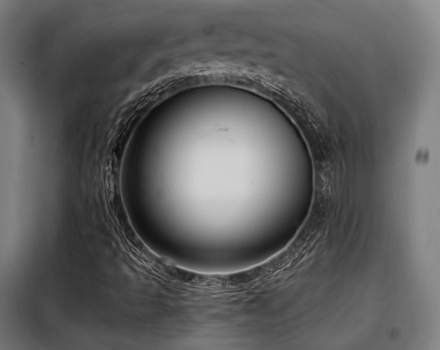 X0000098071493200804041113