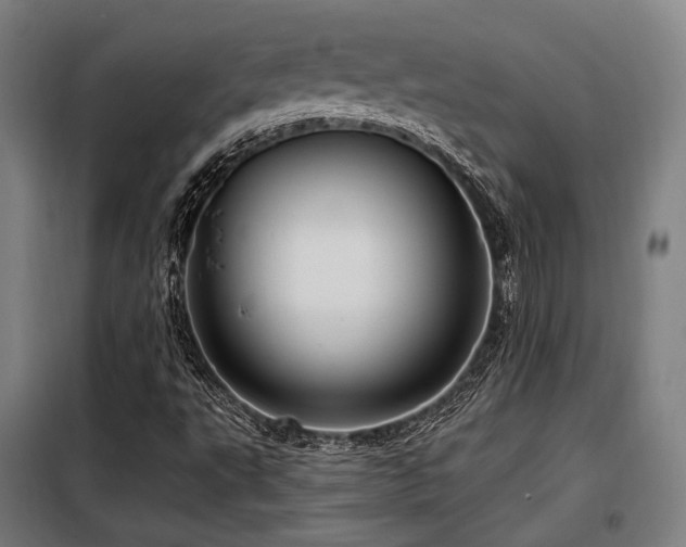 X0000098071495200804041113