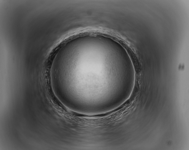 X0000098071496200804041113