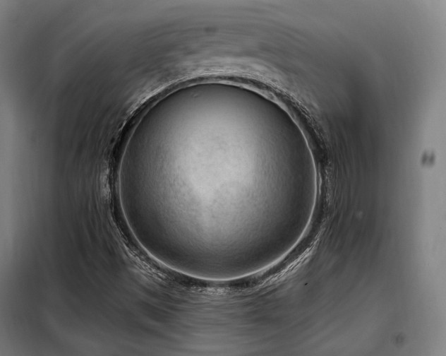 X0000098071497200804041113