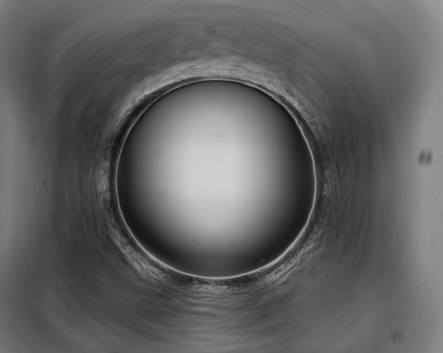 X0000098071499200804041113
