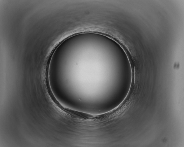 X0000098071500200804041113