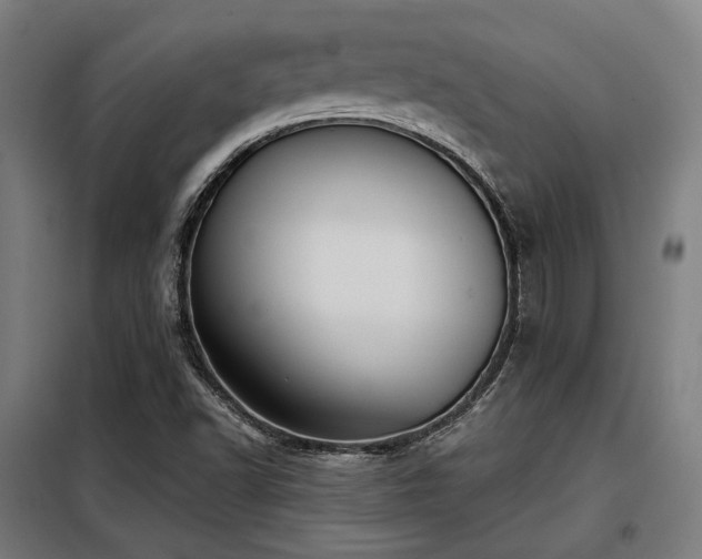 X0000098071502200804041113