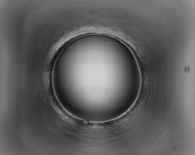 X0000098071503200804041113