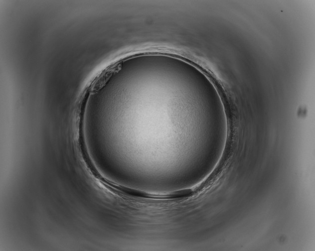 X0000098071504200804041113