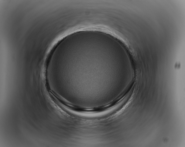 X0000098071506200804041113