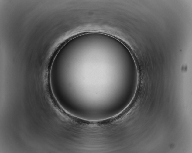 X0000098071507200804041113