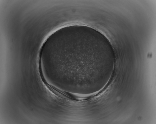 X0000098071508200804041113
