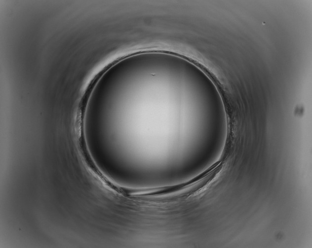 X0000098071510200804041113