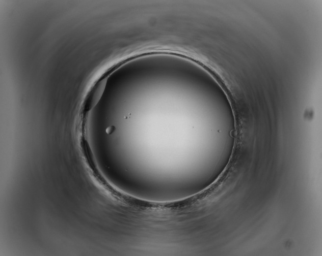 X0000098071511200804041113