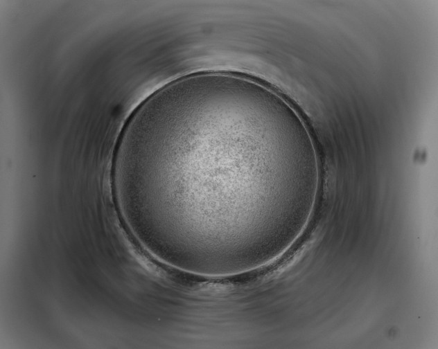 X0000098071513200804041113