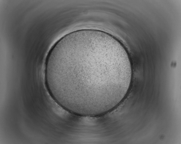 X0000098071514200804041113