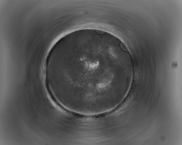 X0000098071515200804041113