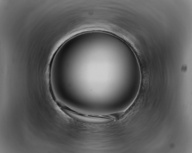 X0000098071516200804041113
