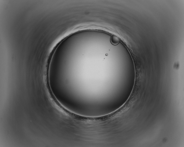 X0000098071518200804041113