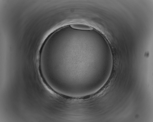 X0000098071519200804041113