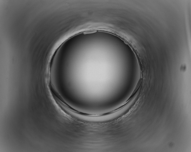 X0000098071520200804041113