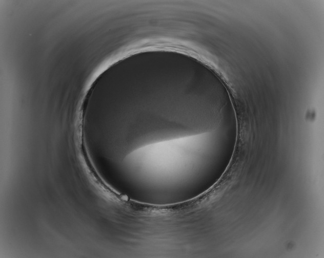 X0000098071522200804041113