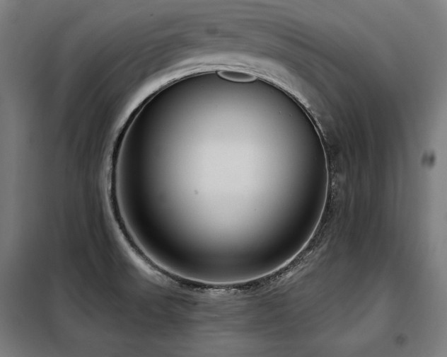 X0000098071523200804041113