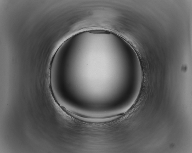 X0000098071524200804041113