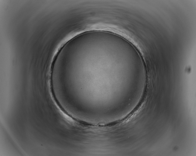 X0000098071525200804041113