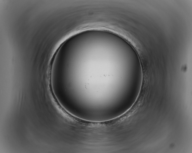 X0000098071526200804041113