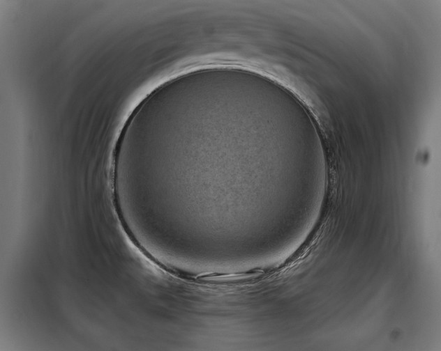 X0000098071527200804041113