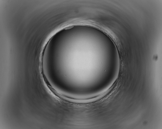 X0000098071528200804041113