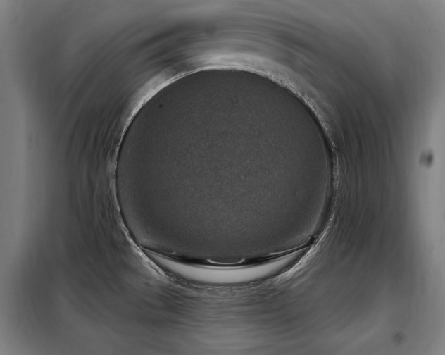 X0000098071529200804041113