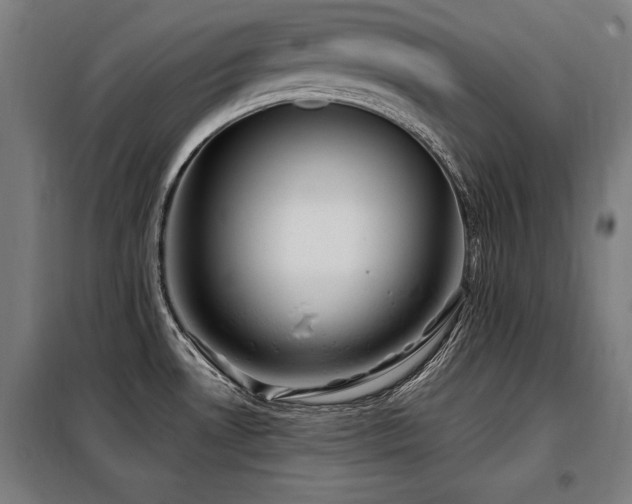 X0000098071530200804041113