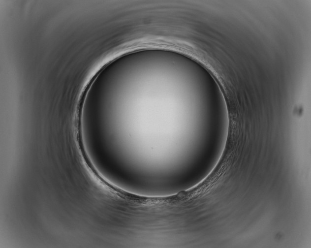 X0000098071531200804041113