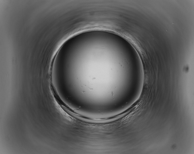 X0000098071532200804041113