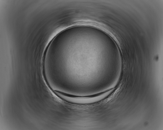 X0000098071533200804041113