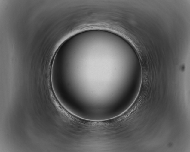 X0000098071534200804041114