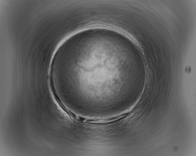 X0000098071536200804041114