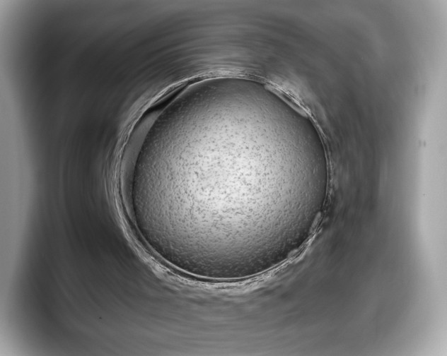 X0000098070001200804110932