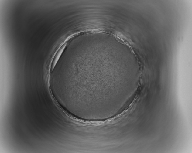 X0000098070002200804110932