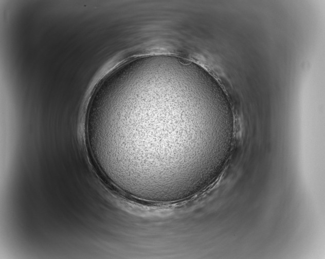 X0000098070004200804110932