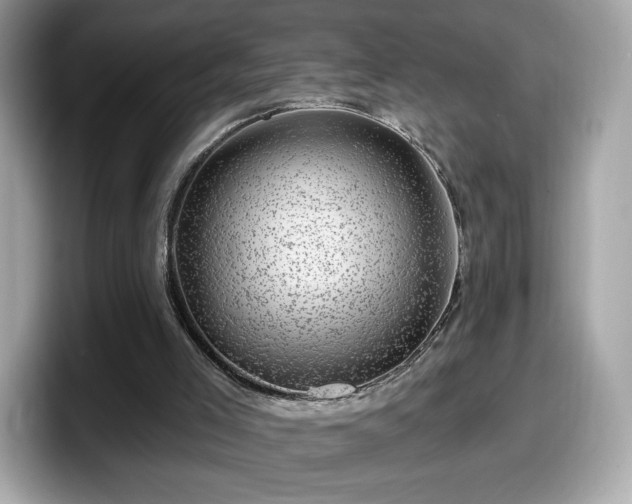 X0000098070005200804110932