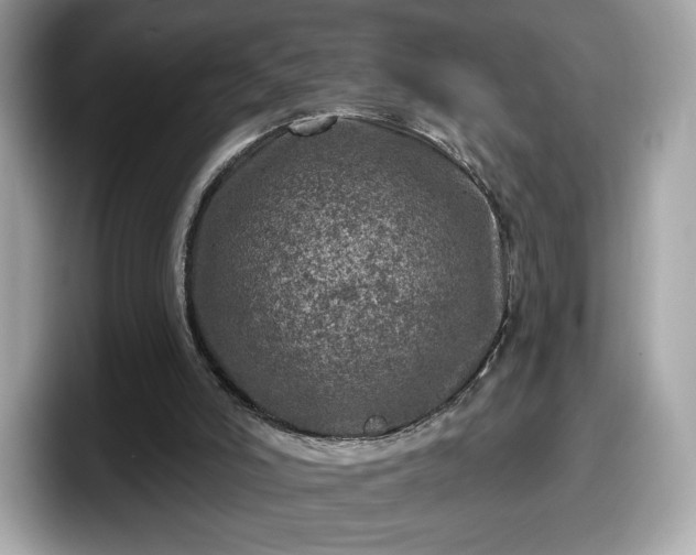 X0000098070006200804110932