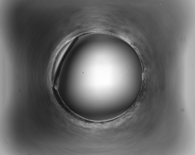 X0000098070007200804110931