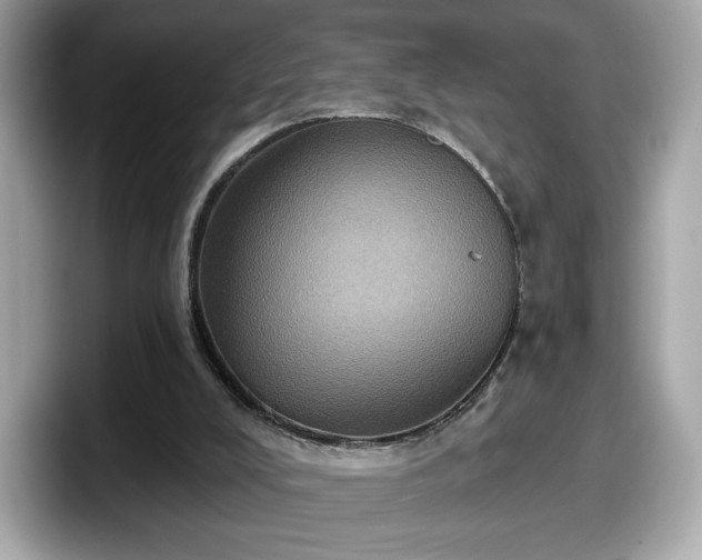 X0000098070008200804110931