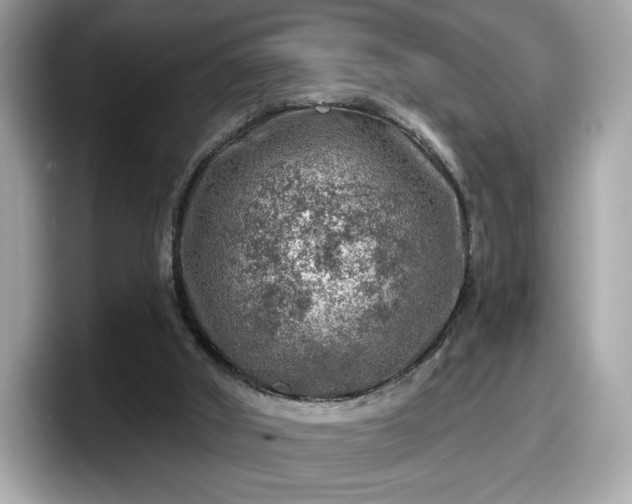 X0000098070010200804110931