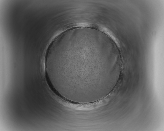 X0000098070011200804110931